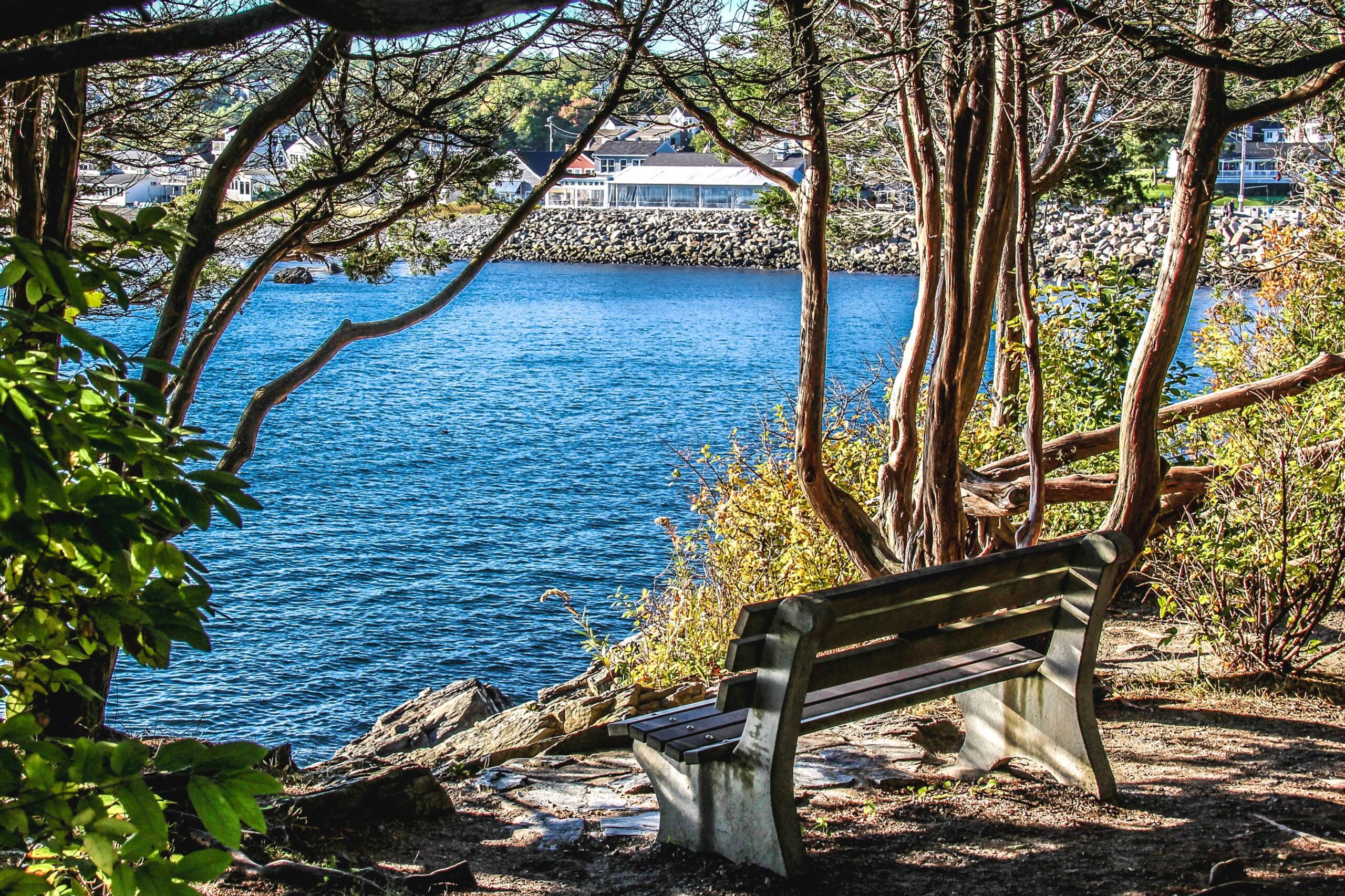 A photo of a bench overlooking a lake near Marginal Way Perkins Cove.