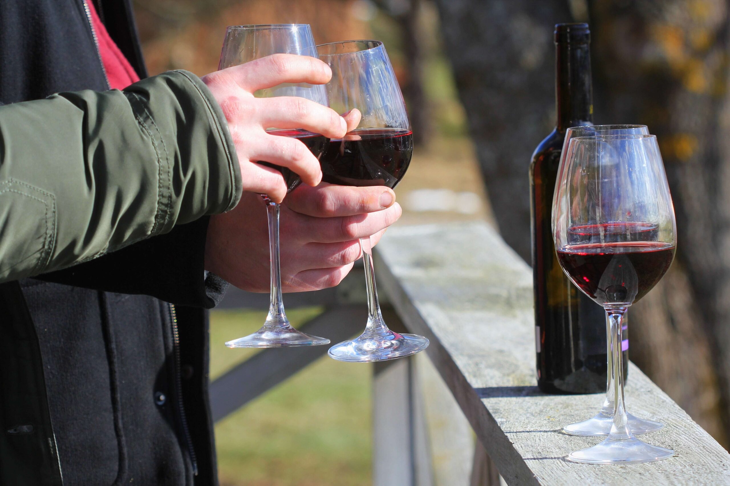 Two people enjoying glasses of wine at East Coast vineyards.