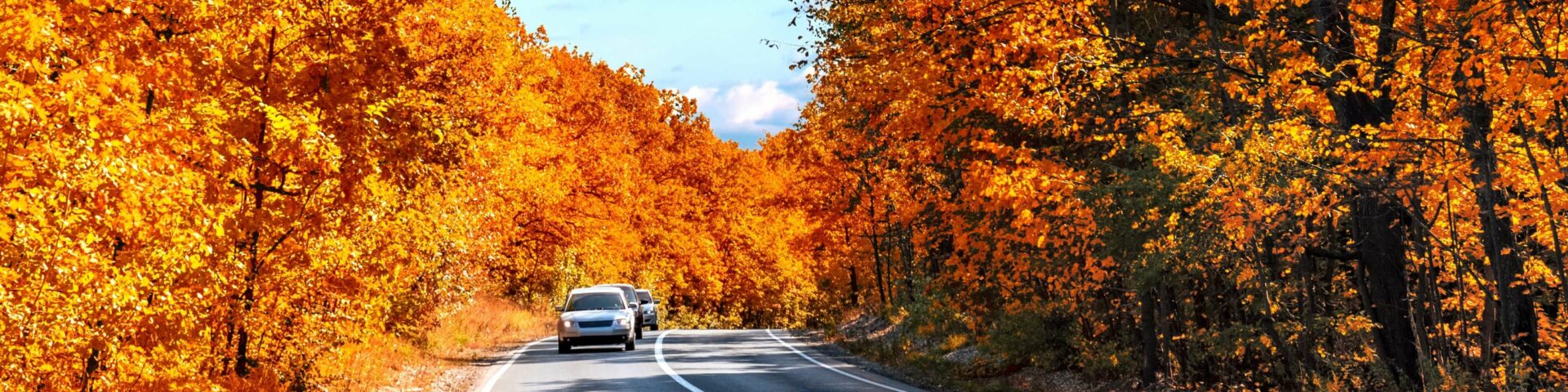 A car driving in Maine during Fall.
