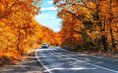 A car driving in Maine during Fall.
