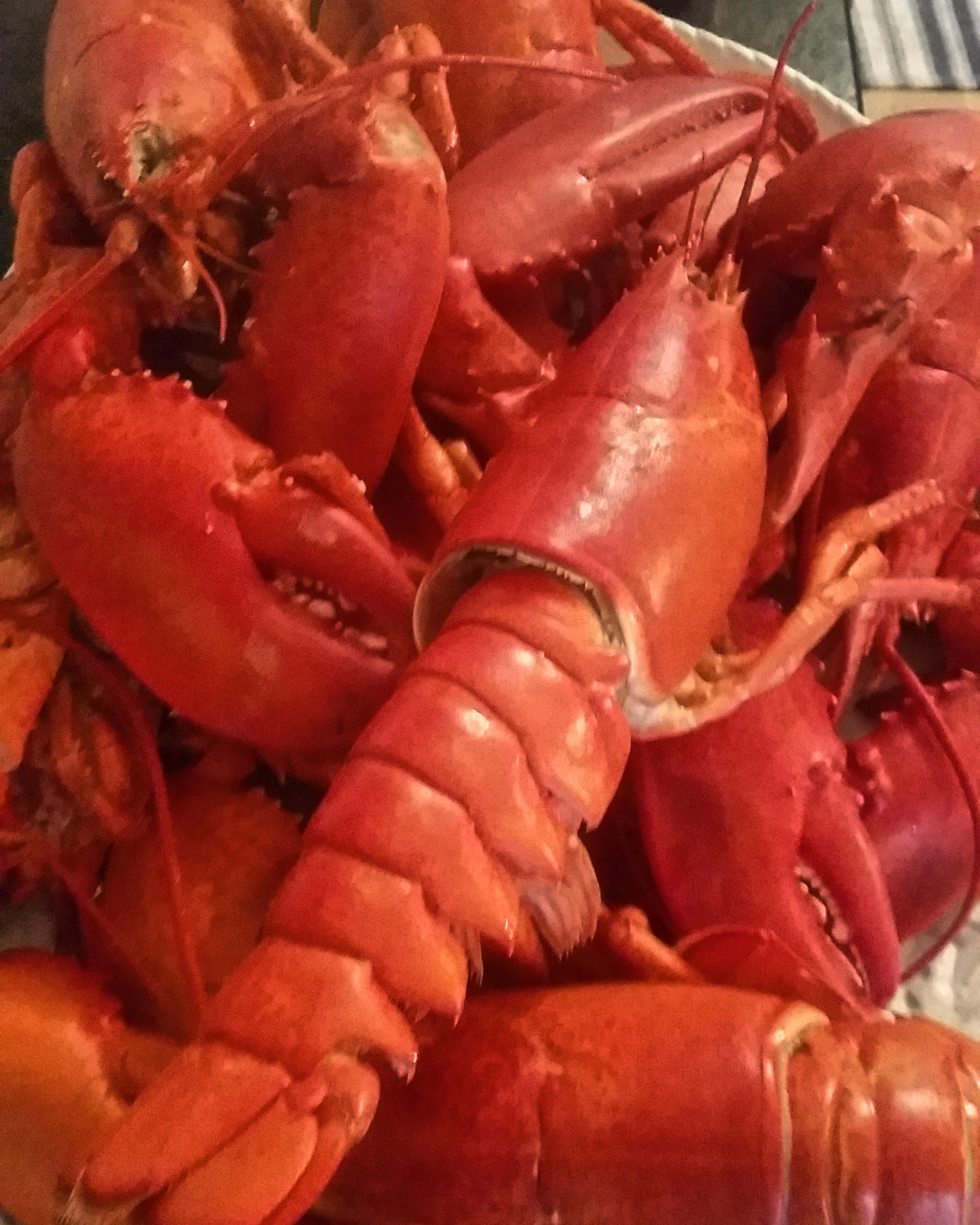 Lobsters on the restaurant menu